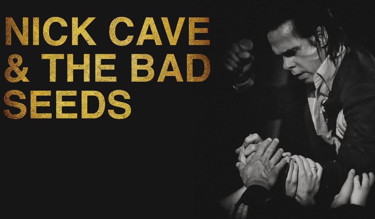 Ник кейв the bad seeds. Nick Cave and the Bad Seeds. Группа Nick Cave and the Bad Seeds. Nick Cave & the Bad Seeds Nick Cave & the Bad Seeds. Nike Cave the Bad Seeds.