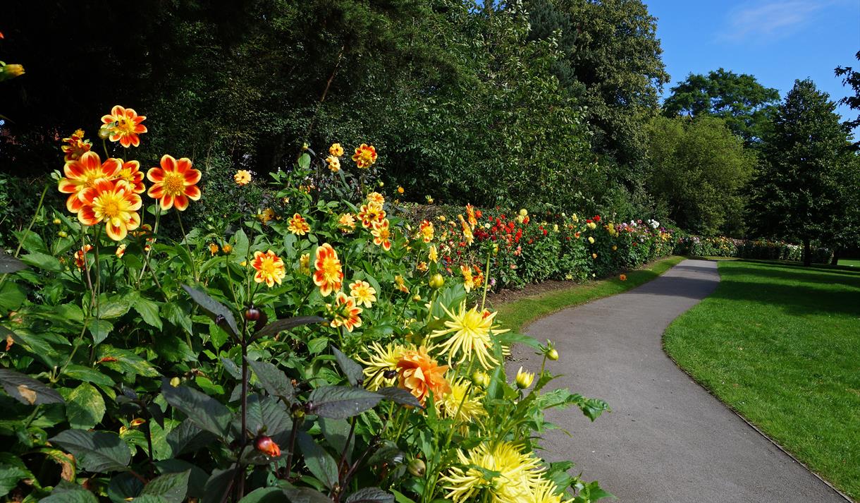 Nottingham Arboretum - Visit Nottinghamshire