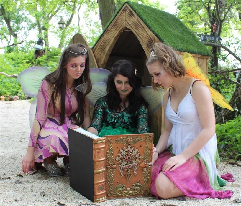 3 Fairies reading compressed