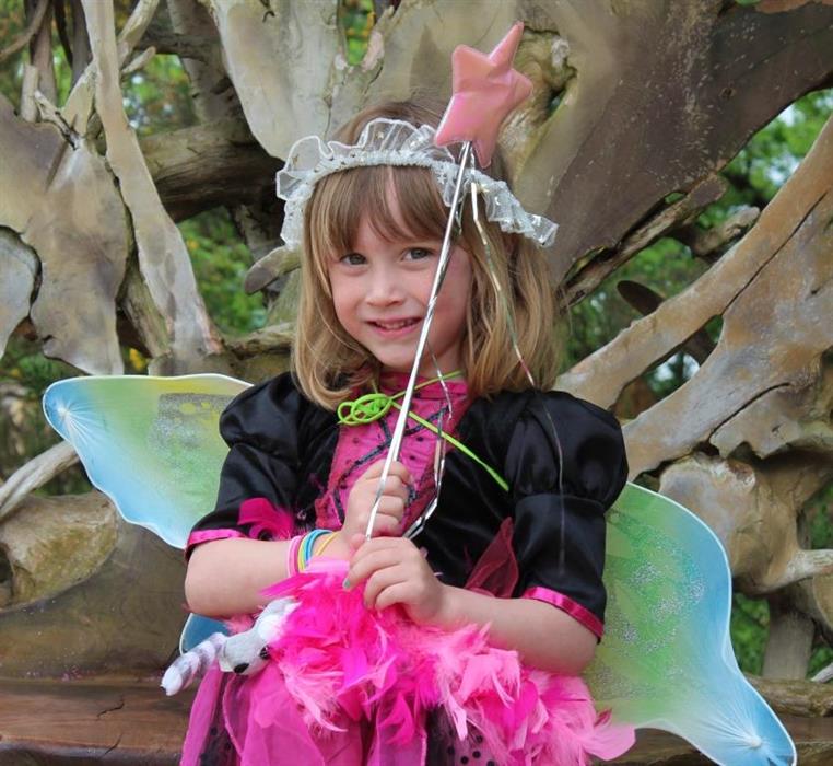 Apprentice Fairy compressed